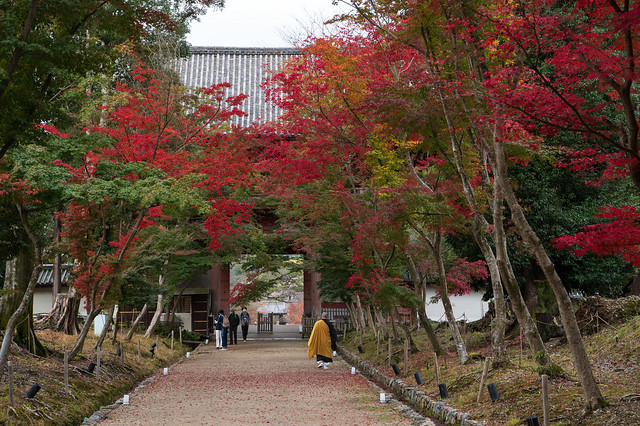 Daigo-ji 醍醐寺