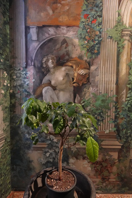 Musée Fortuny, Venise : le Jardin d'Hiver