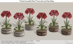 .:Tm:.Creation "Potted Amaryllis Plant" Terracotta and Clay GP59