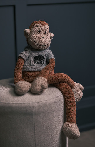 Slackie Monkey Portrait