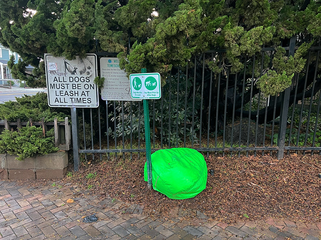 abandoned green beanbag