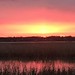 Sunrise at Dyke Marsh 1/6/23