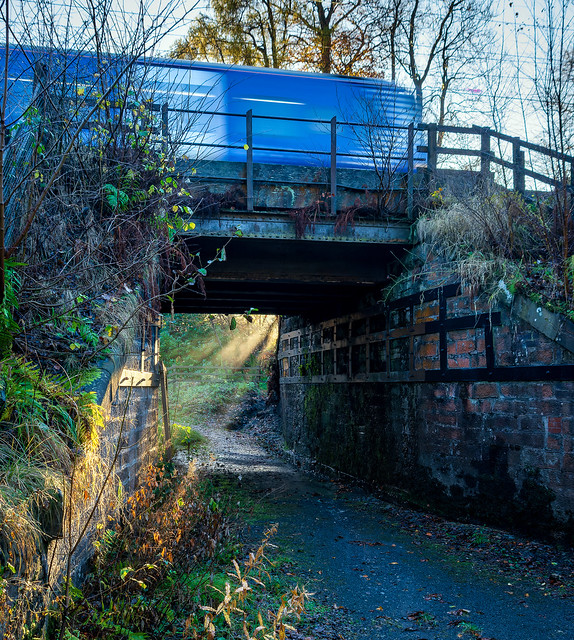 A train crosses a bridge, RSPB, Lochwinnoch, Renrewshire, Scotland, UK