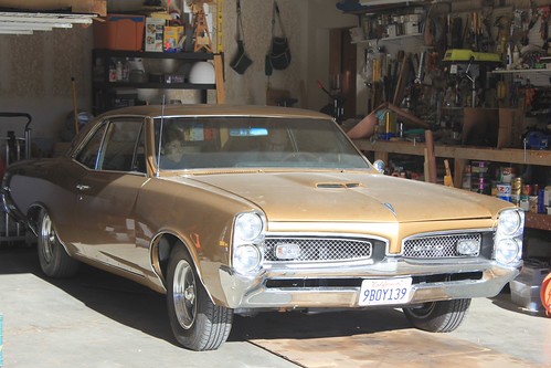 GTO (22) | by giovanni 10