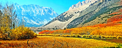 Sierra Nevada Autumn, North Lake 2020