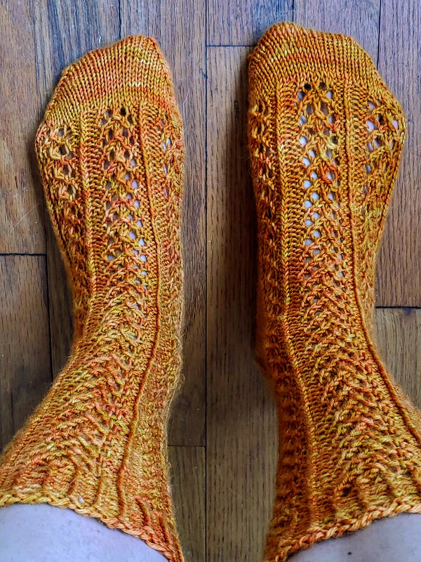 Golden Hedera Socks
