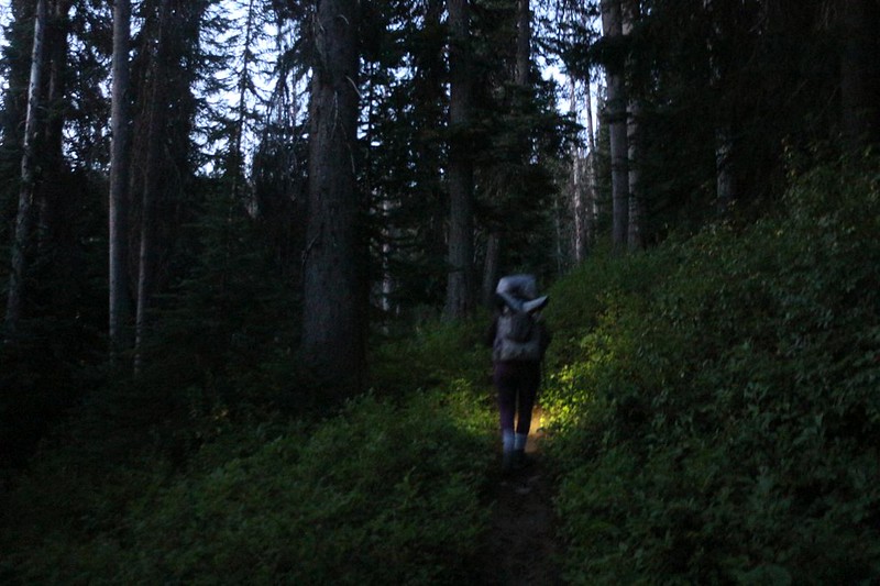 It was first light and we were still using our headlamps, on the Pacific Crest Trail south of Holman Pass