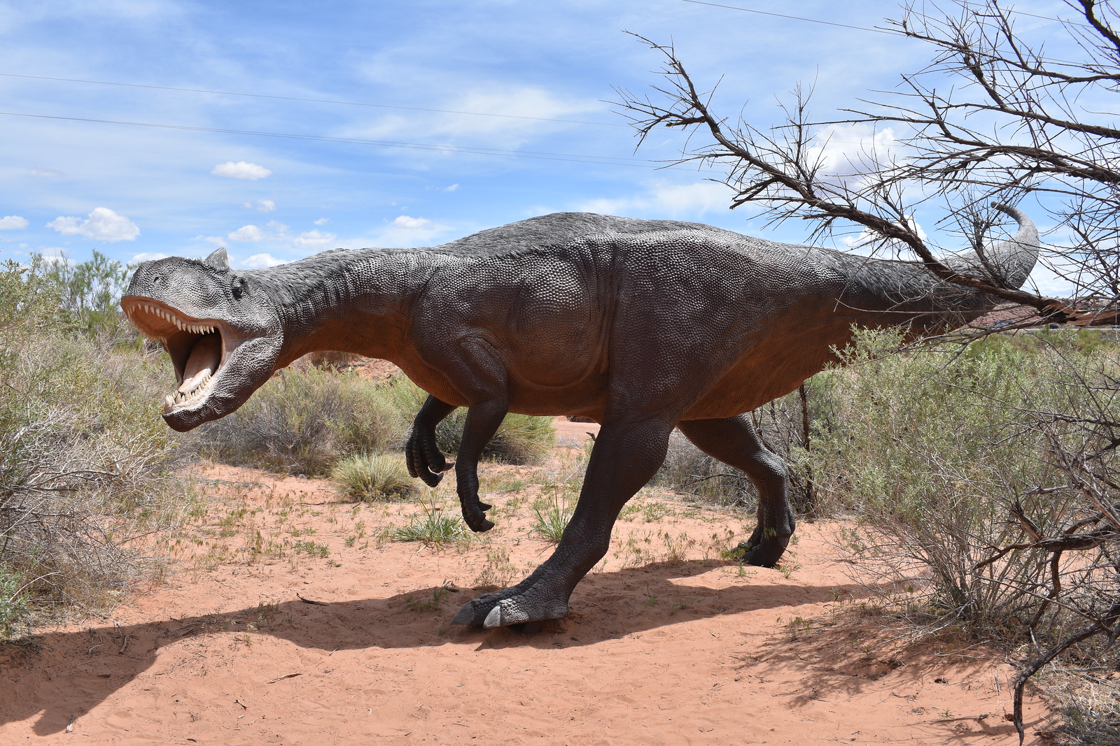Moab Giants Paleosafari, "Allosaurus" @ Moab, Utah