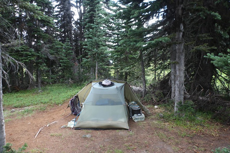 We set up our tent within a grove of trees at Windy Pass - the Pacific Crest Trail went past just the other side of them