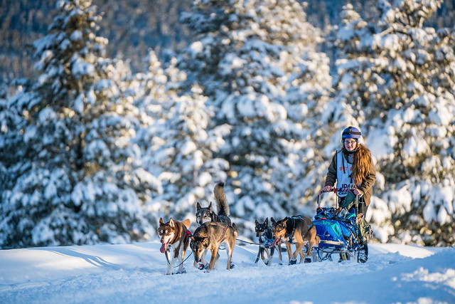 2020 Idaho Sled Dog Challenge