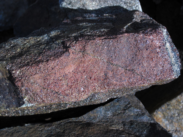 Garnetite (alteration halo around magnetite-rich meta-iron formation) (Archean, metamorphism at ~3.2 Ga & ~2.8 Ga; Quad Creek section - roadcut along the Beartooth Highway, Beartooth Mountains, Montana, USA) 4