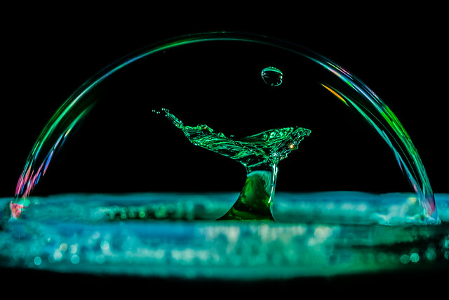 Inside a bubble