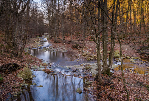 Zwei Bäche | by st.schult67