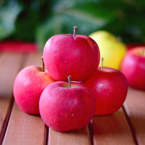 5 Gründe: Warum Äpfel gesund sind