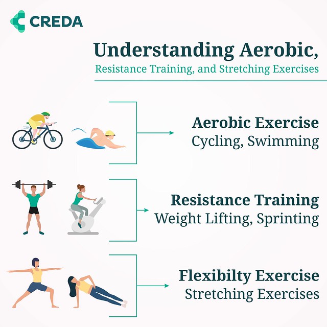Understanding Aerobic, Resistance Training, and Stretching Exercises