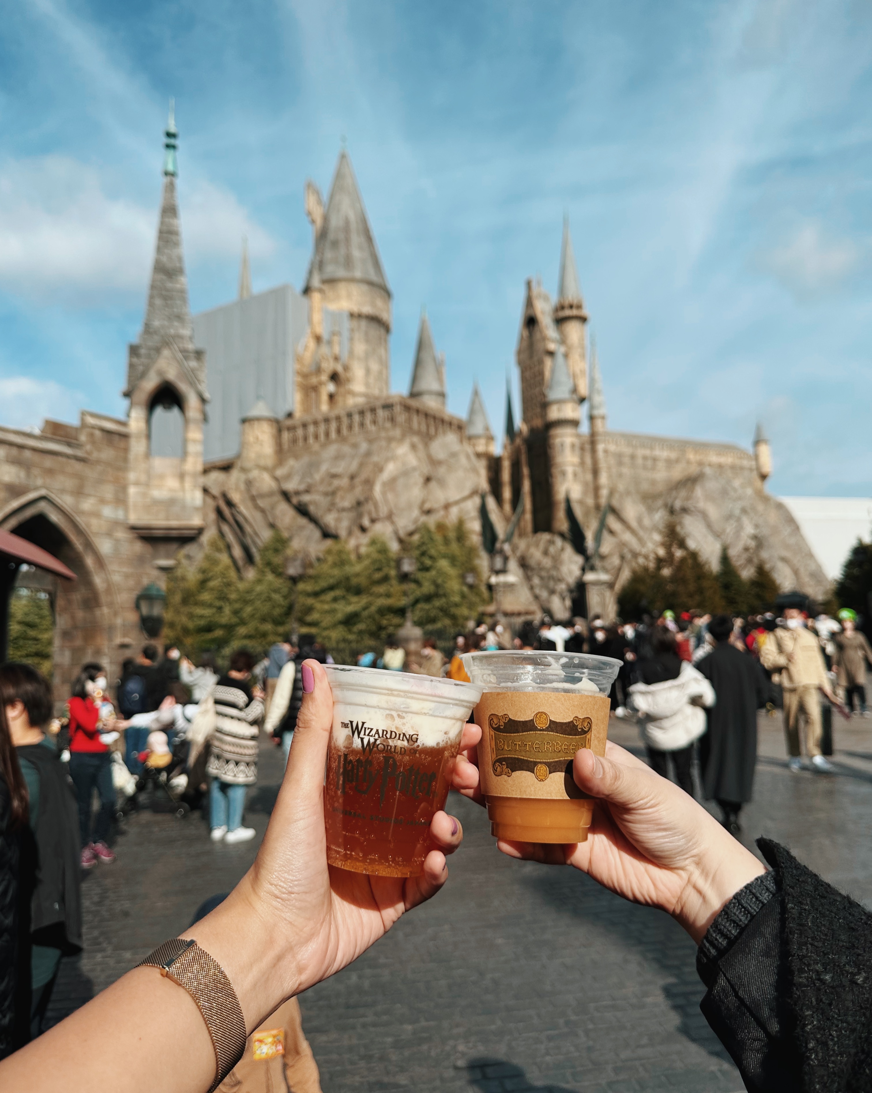 Harry Potter Theme Park Japan 2023 Ticket Price