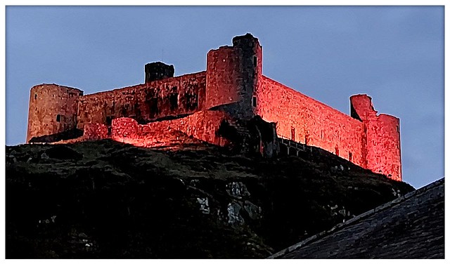 THE RED CASTLE