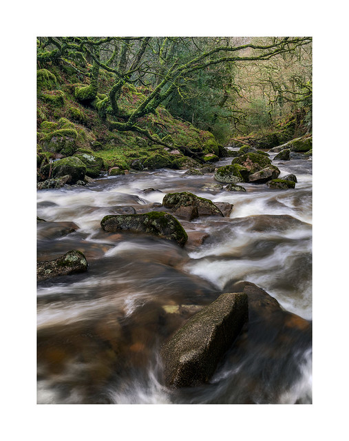 River Plym, Dartmoor, UK