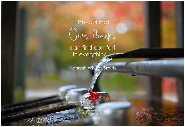 Hannah Whitall Smith The soul that gives thanks can find comfort in everything...