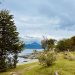 The shores of the Beagle channel