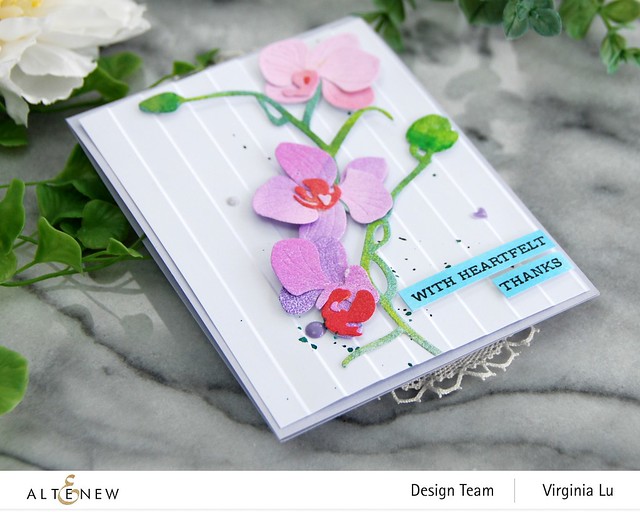 Altenew-Craft-A-Flower Orchids-Window Slatts 3D Embossing Folder-Sentiment Strips 3 Stamp Set (4)