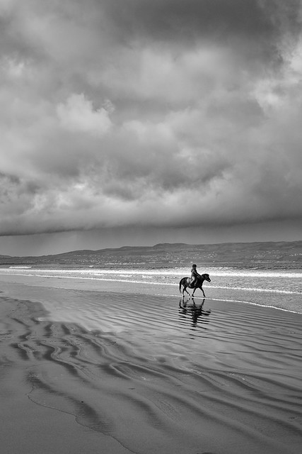 A trot on the beach (Explored)