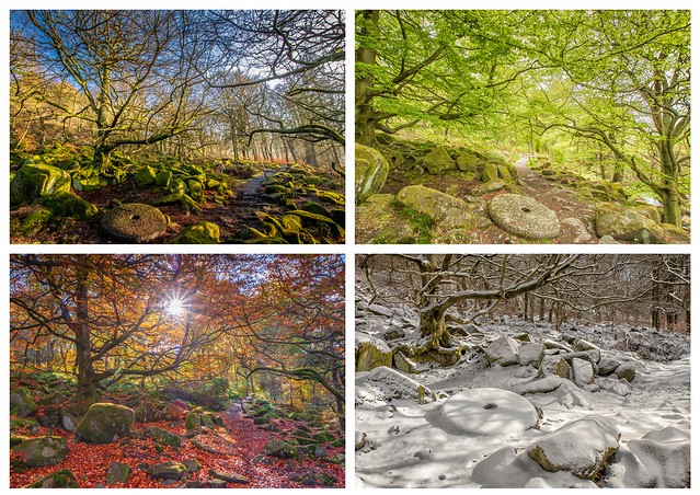 The Four Seasons - Tree & Millstone, Padley Gorge