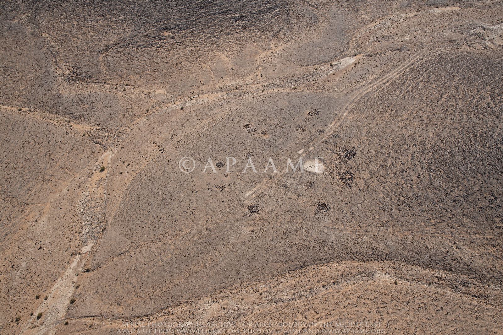 Harad Cairns 7