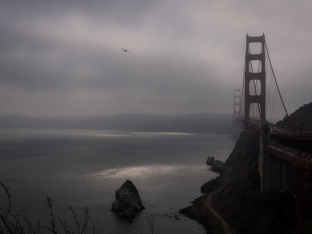 Foggy day in San Francisco