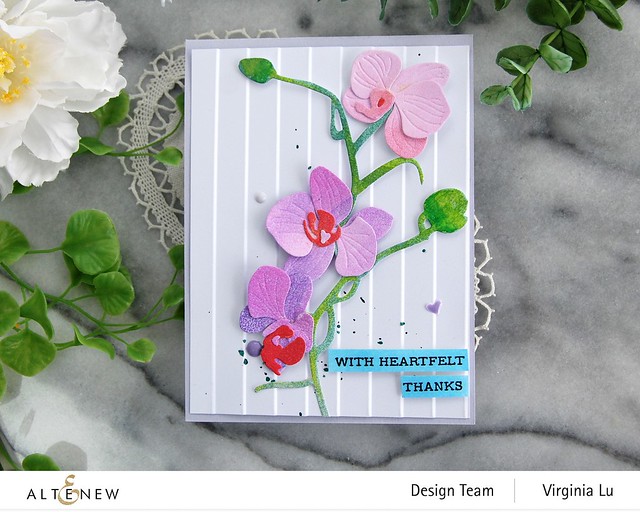 Altenew-Craft-A-Flower Orchids-Window Slatts 3D Embossing Folder-Sentiment Strips 3 Stamp Set