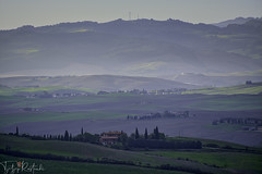 Farm fields in Siena