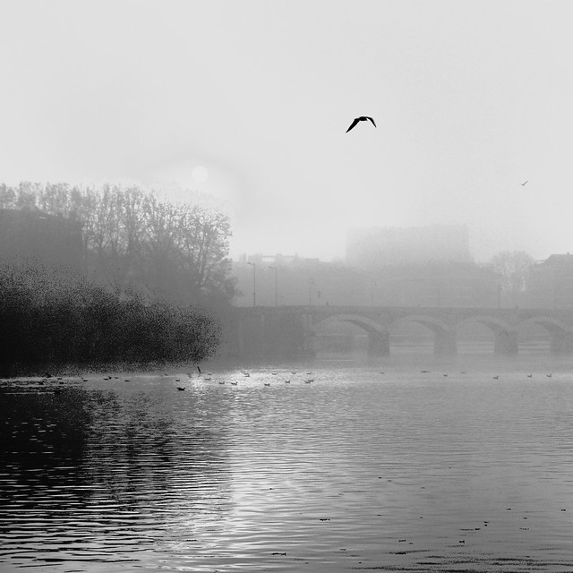 The Poetic Garonne River in Toulouse