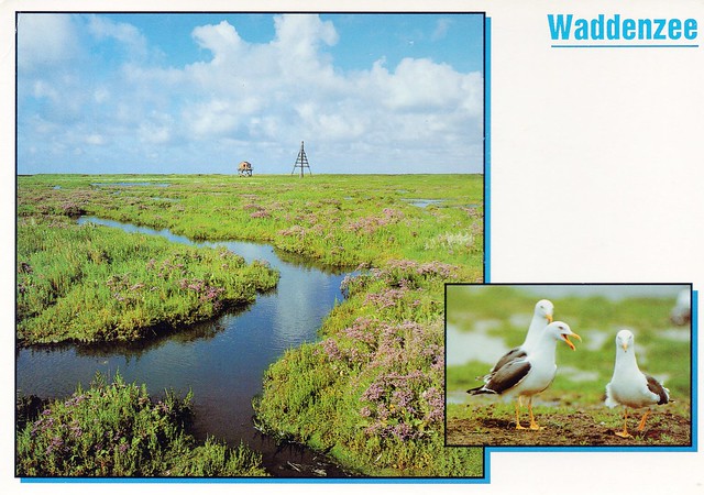 Netherlands - The Waddenzee (Shallow bay separated from the North Sea by a string of barrier islands from the north coast of the Netherlands)