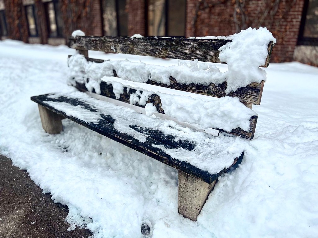 A bench covered in snow