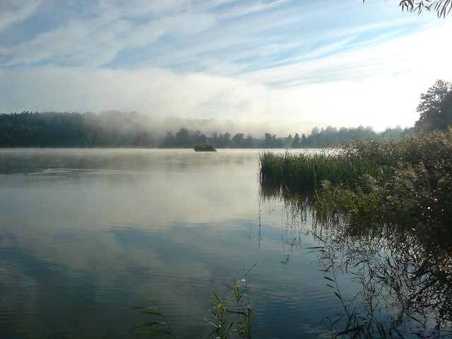 Morning lake