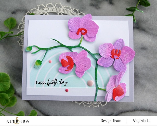 0120-2023-Altenew-Craft-A-Flower Orchids-Double Rainbow Stencil-Well Read Stamp Set -003