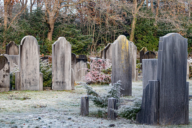 Graves in winter