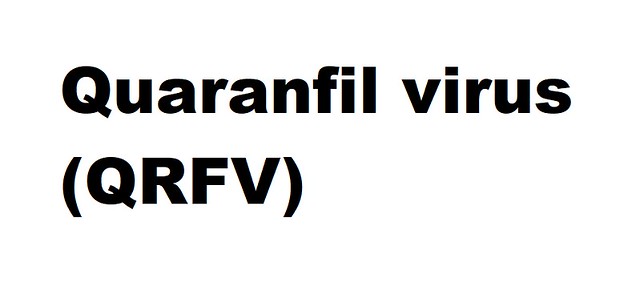 Quaranfil virus (QRFV) (Quaranjavirus Quaranfil quaranjavirus)