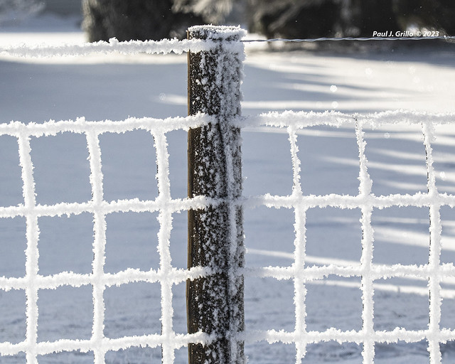 Frosted Fence Grid   .................HFF!