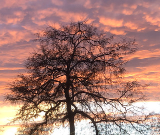 Sunset after a storm