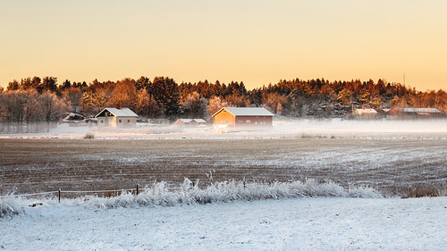 Red barn in winter mist in Brastad by AnnSophieQ, A red barn with the evening mist rolling in over the fields in winter at sunset in Brastad, Lysekil