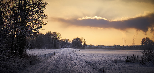 Südostbayern im Winter - Winterspaziergang