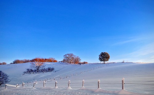 rural countryside field tree snow frost fence hff wonderland winter landscape nature norway trondheim leinstrand