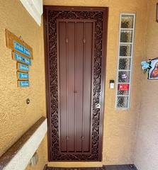 Security Screen Door