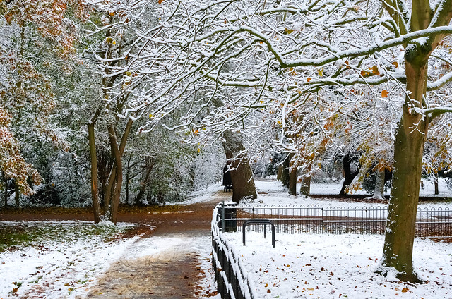 Winter Path London...