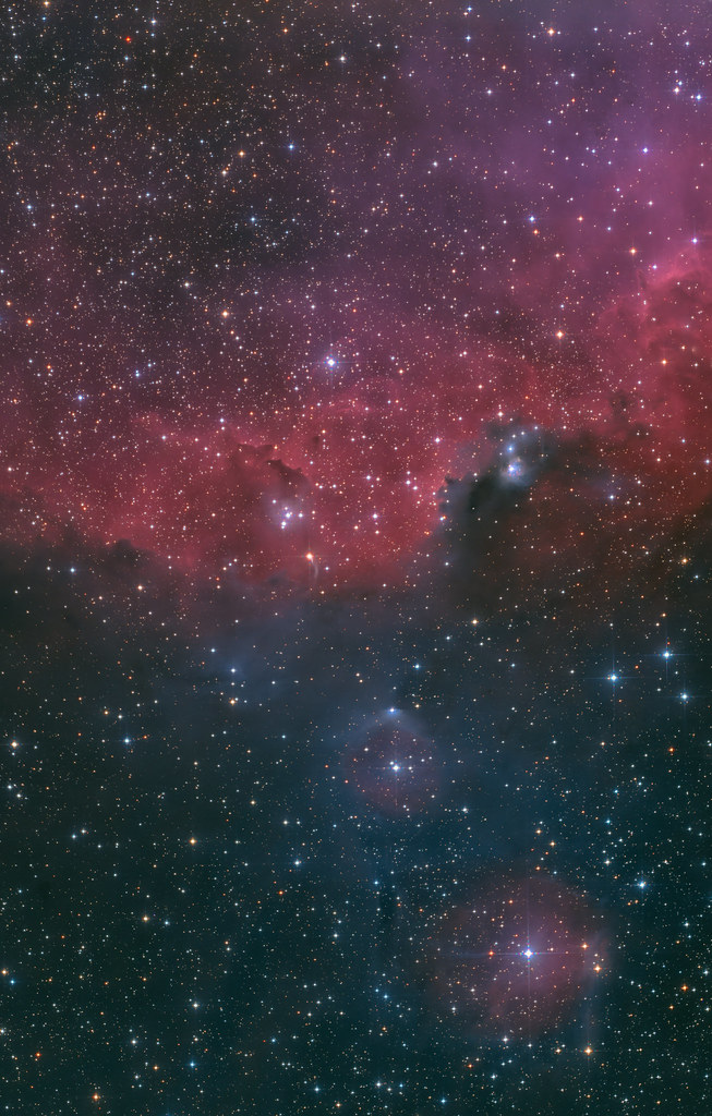 NGC2327 Parrot Nebula