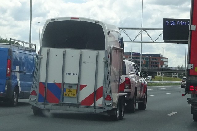 Toyota Hilux & police horse trailer