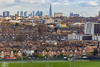 London from the Scrubs
