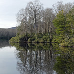 Price Lake reflection Fall reflection at Price Lake, North Carolina