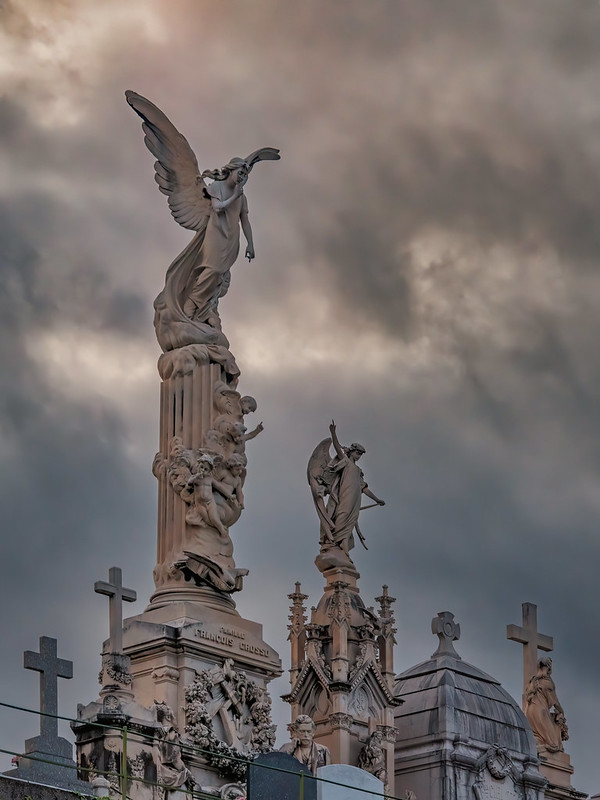 Les anges du cimetière de Nice, à l'aube... 52628124044_9d1802af3c_c